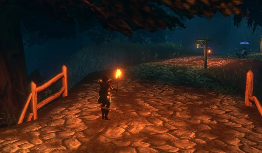 A character holding a burning torch on a stone road in Duskwood at night, a screenshot from the beta of World of Warcraft: Forever