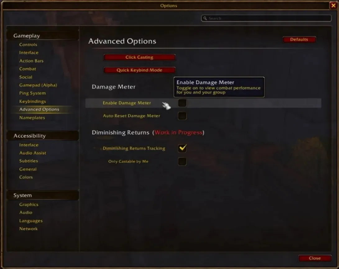 The Advanced Options with Enable Damage Meter, Auto Reset Damage Meter and Diminishing Returns Tracking, a screenshot of World of Warcraft: Forever
